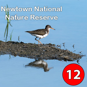 Isle of Wight Coastal Trail - Newtown Nature Reserve